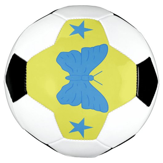 Patriotic Soccer Ball with Flag of Bady Bassit Voetbal (Gedraaid)