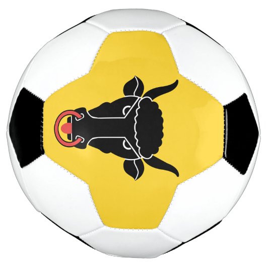 Patriotic Soccer Ball with Flag of Uri Voetbal (Gedraaid)