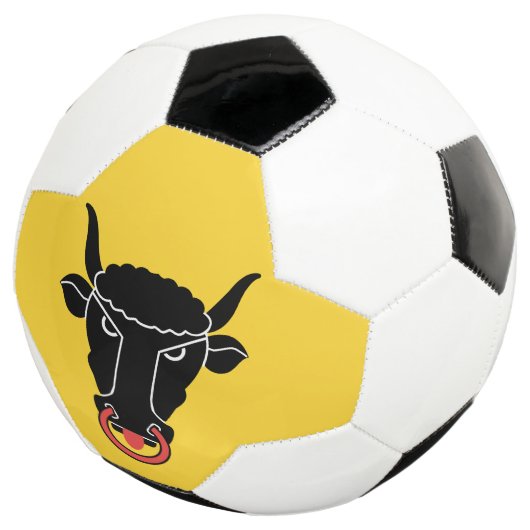 Patriotic Soccer Ball with Flag of Uri Voetbal (Drie kwart)