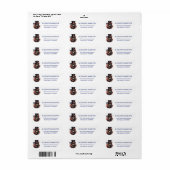 Patriotic Star Spangled Cat Return Address Etiket (Full Sheet)