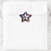 Patriotic Star Ster Sticker (Tas)