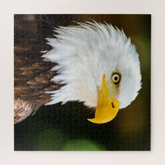 Patriottic Adult American Bald Eagle Legpuzzel (Horizontaal)