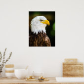 Patriottic Adult American Bald Eagle Poster (Keuken)