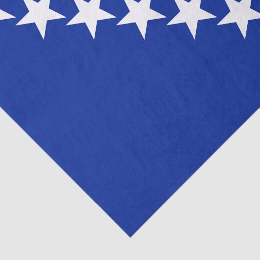 Patriottic Bosnië-Herzegovina vlagweefseldocument Tissuepapier (Detail)