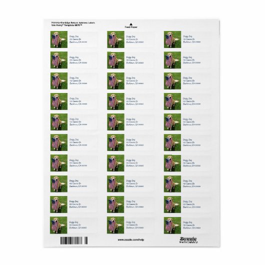 Patriottic Return Address Label (Full Sheet)