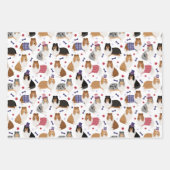 Patriottic Rough Collie Pattern Inpakpapier Vel (Voorkant 2)