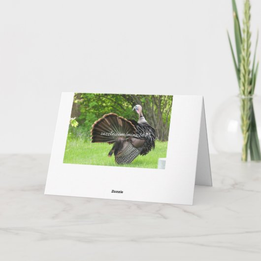 Patriottic Turkey Strut Kaart (Achterkant)