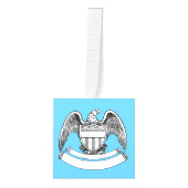  patriottisch agle PlaqueThunder_Cove Decoratie (Voorkant)