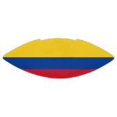 Patriottisch Amerikaans football met de vlag van C (Paneel)