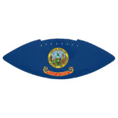 Patriottisch Amerikaans football met Idaho-vlag (Paneel)