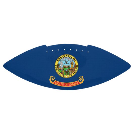Patriottisch Amerikaans football met Idaho-vlag (Paneel)
