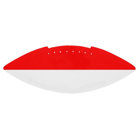 Patriottisch Amerikaans football met Indonesische  (Paneel)