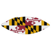 Patriottisch Amerikaans football met Marylandvlag (Paneel)