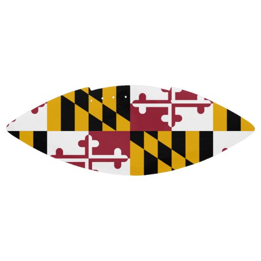 Patriottisch Amerikaans football met Marylandvlag (Paneel)