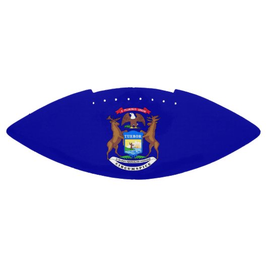 Patriottisch Amerikaans football met Michigan vlag (Paneel)