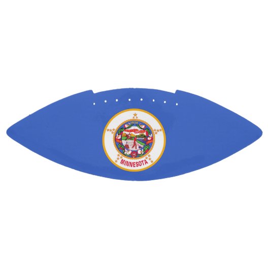 Patriottisch Amerikaans football met Minnesota vla (Paneel)