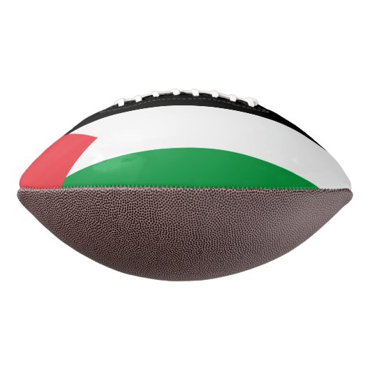 Patriottisch Amerikaans football met Palestijnse v (Gedraaid 270)