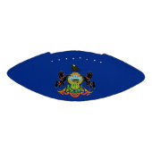 Patriottisch Amerikaans football met Pennsylvania  (Paneel)