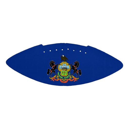 Patriottisch Amerikaans football met Pennsylvania  (Paneel)