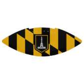 Patriottisch Amerikaans football met vlag van Balt (Paneel)