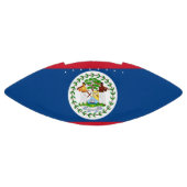 Patriottisch Amerikaans football met vlag van Beli (Paneel)