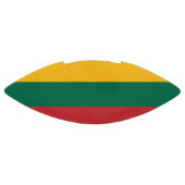 Patriottisch Amerikaans football met vlag van Lito (Paneel)