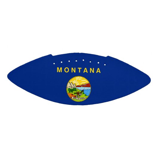 Patriottisch-amerikaans football met vlag van Mont (Paneel)