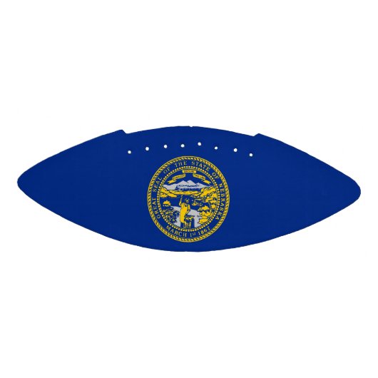 Patriottisch Amerikaans football met vlag van Nebr (Paneel)