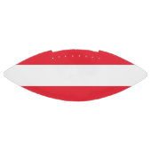 Patriottisch-amerikaans football met vlag van Oost (Paneel)