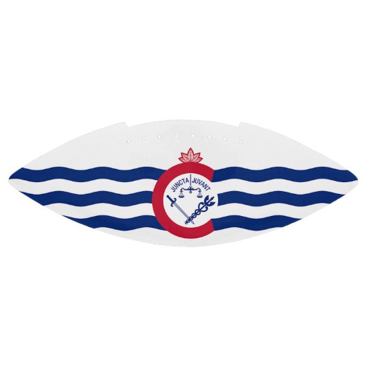 Patriottisch-amerikaans football vlag van Cincinna (Paneel)