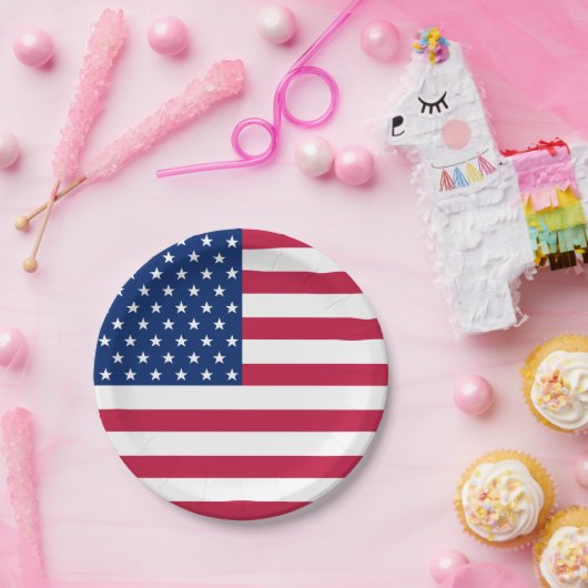 Patriottisch Amerikaans Vlag partij partij bij het Papieren Bordje (Feest)