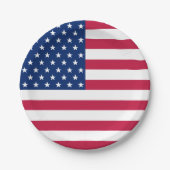 Patriottisch Amerikaans Vlag partij partij bij het Papieren Bordje (Voorkant)