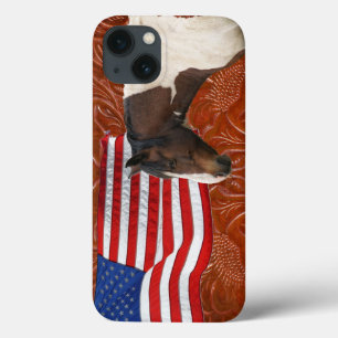 Patriottisch Amerikaans vlaggetje, pinto- en kunst iPhone 13 Hoesje