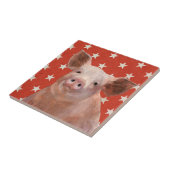 Patriottisch Boerderij - Varkens Tegeltje (Zijkant)