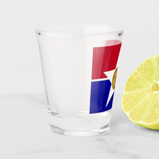 Patriottisch borrelglas met vlag van Dallas Shot Glas (Links)