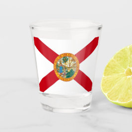 Patriottisch borrelglas met vlag van Florida Shot Glas