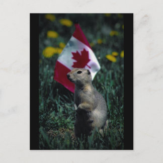 Patriottisch Briefkaart