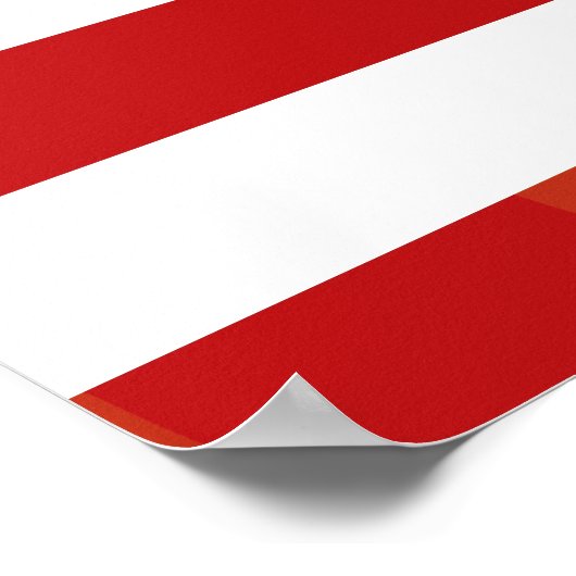 Patriottisch camouflage poster (Hoek)