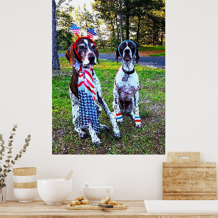 Patriottisch Feest Partij Hotdogs Poster