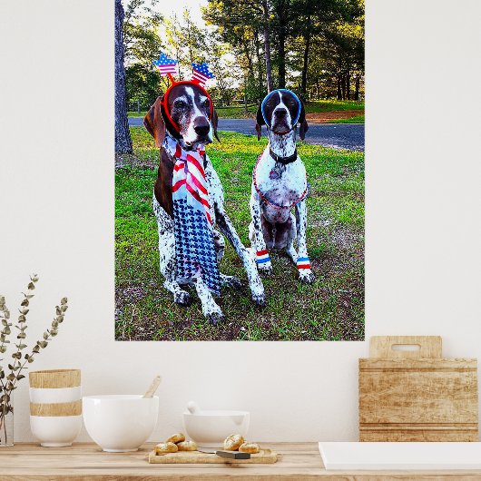 Patriottisch Feest Partij Hotdogs Poster (Keuken)