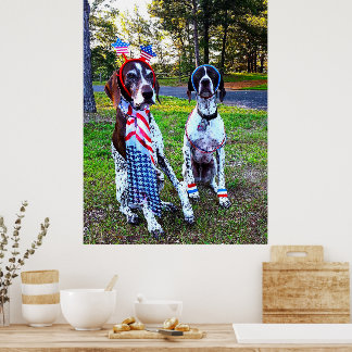 Patriottisch Feest Partij Hotdogs Poster