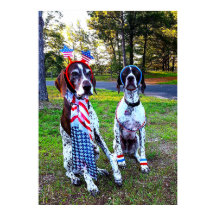 Patriottisch Feestviering Partijhonden