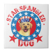 Patriottisch geel laboratorium tegeltje (Voorkant)