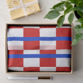 Patriottisch geruit tissuepapier (Geschenk)