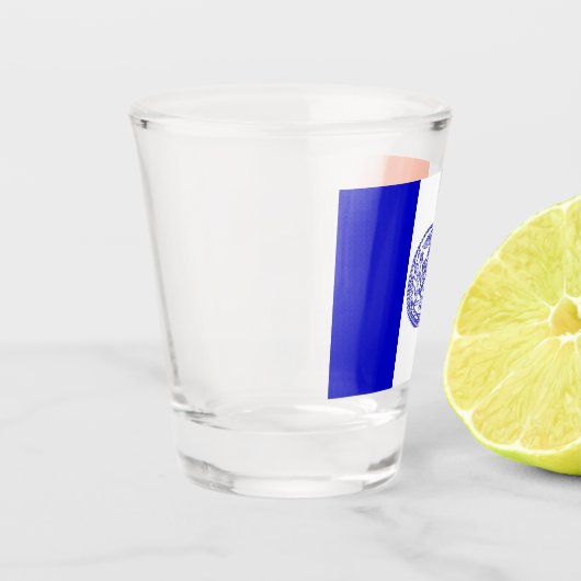 Patriottisch glas met vlag van New York City (Links)