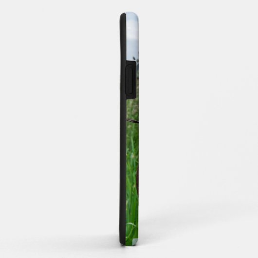 Patriottisch Hoefijzer Case-Mate iPhone Case (Achterkant/rechts)