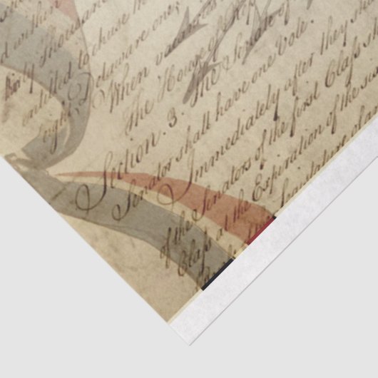 Patriottisch meubelpapier tissuepapier (Detail)