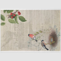 Patriottisch meubelpapier