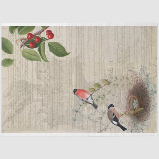 Patriottisch meubelpapier tissuepapier (Voorkant)