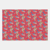 Patriottisch omslagpapier inpakpapier vel (Voorkant 3)